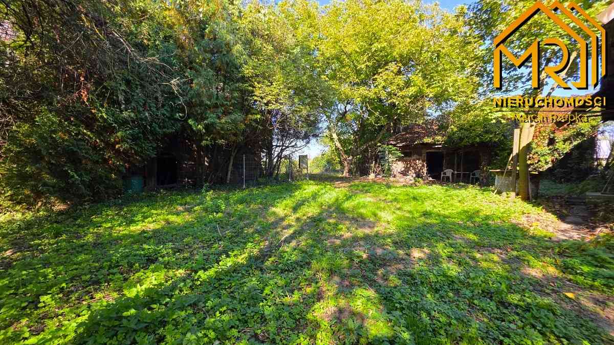 Drewniany dom do remontu – Siedliszowice, gm. Żabn - zdjęcie 29