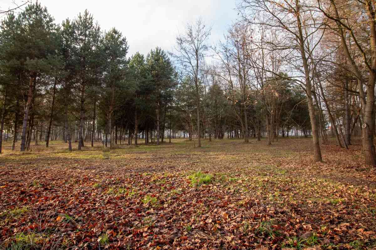 Działka budowlana Koszęcin 1024m2 ul. Słowików - zdjęcie 14