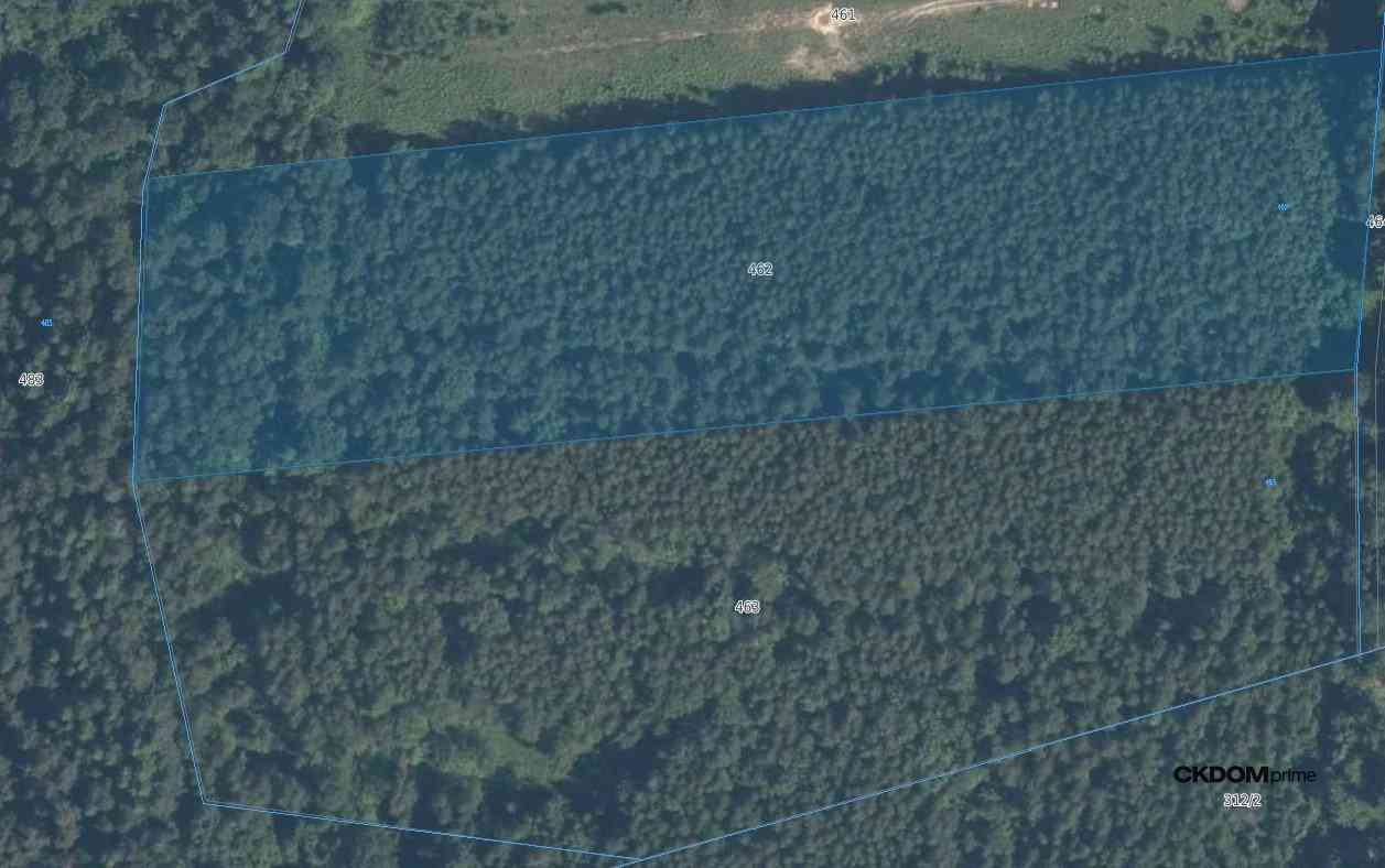 Działka inwestycyjna Cisów 22 500 m² - zdjęcie 5