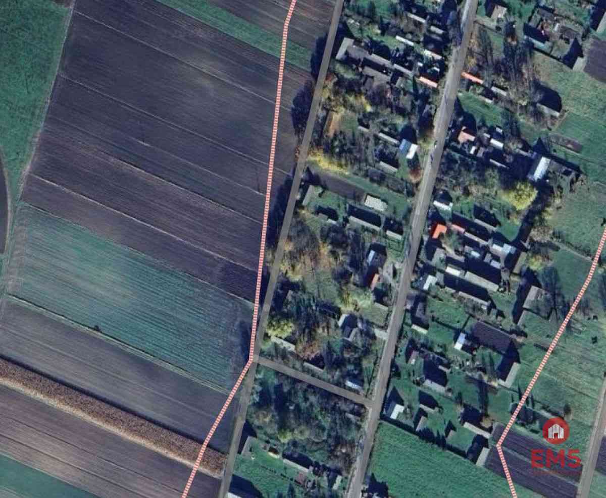 Ziemia pod uprawy blisko Hajnówki. - zdjęcie 5
