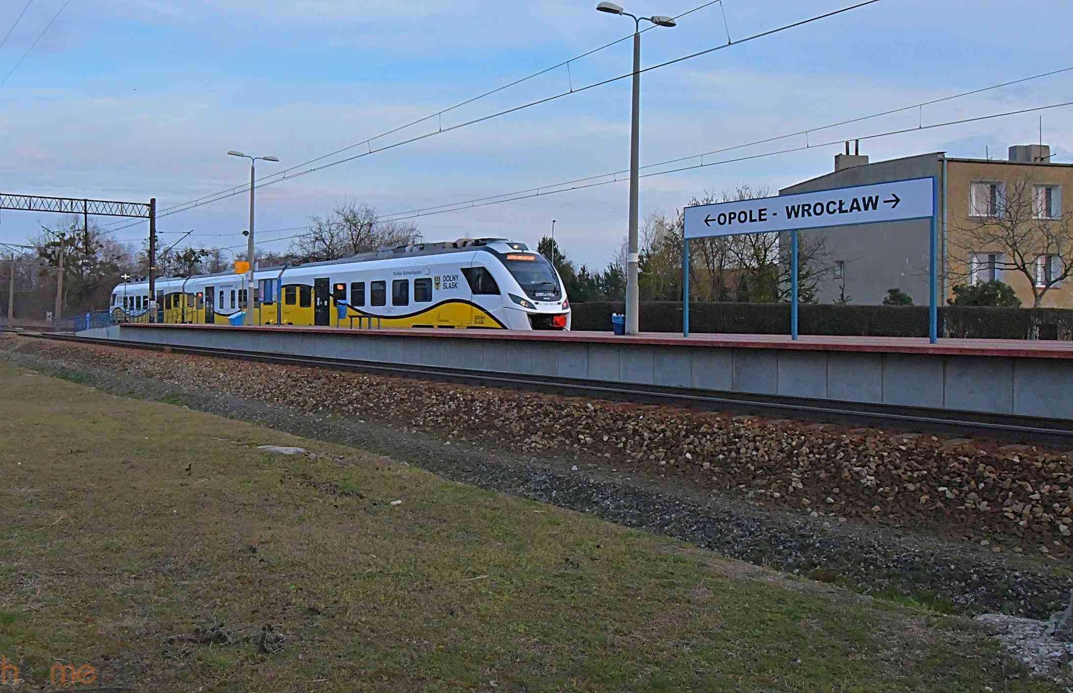 Piękna działka blisko lasu, Miłoszyce - zdjęcie 7