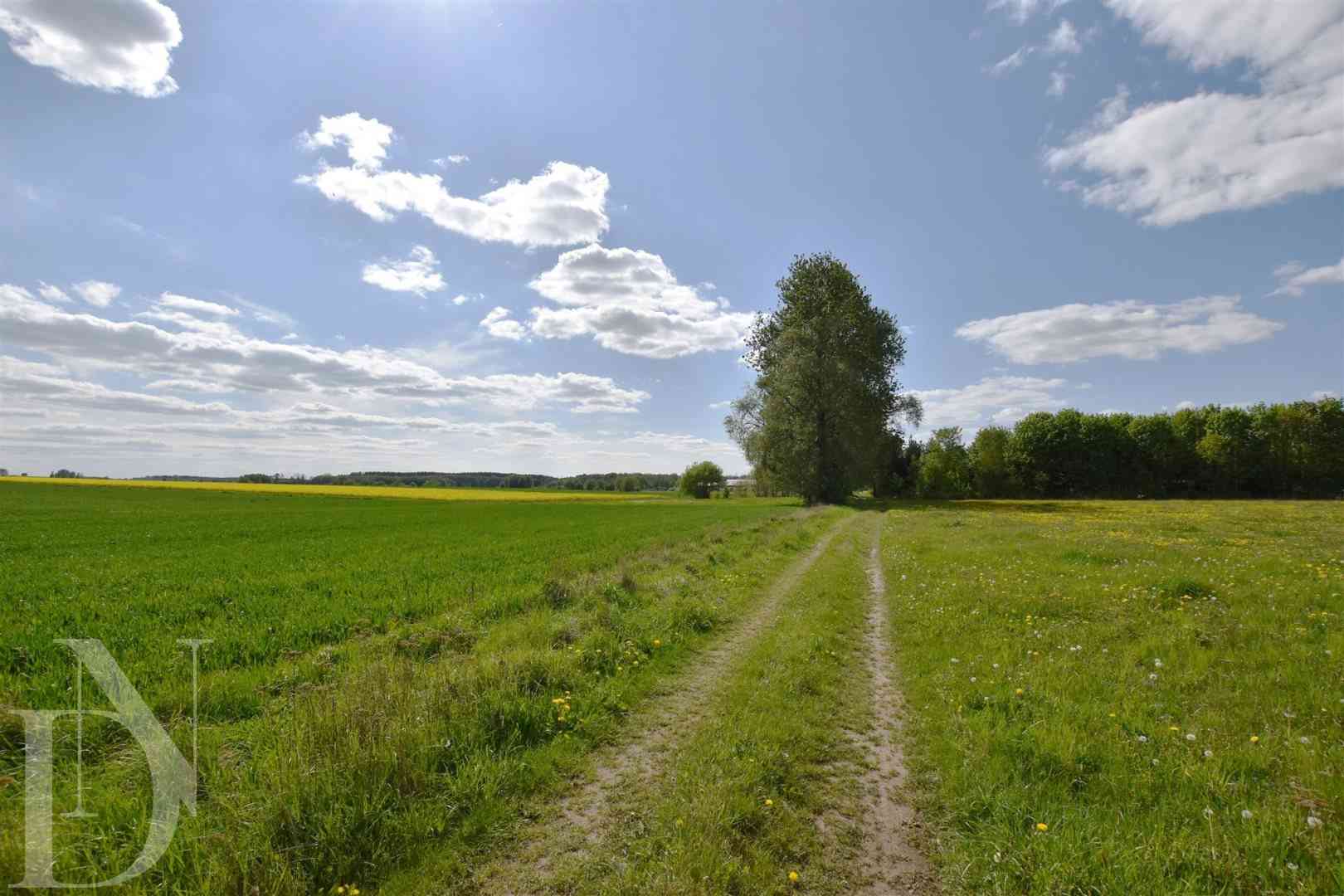 Szczyty-Nowodwory Siedlisko. Twój wymarzony azyl  - zdjęcie 27