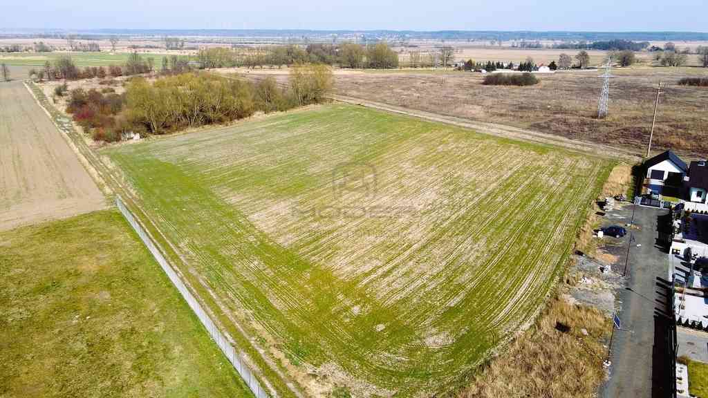 6 działek pod zabudowę jednorodzinną - Słubice - zdjęcie 2