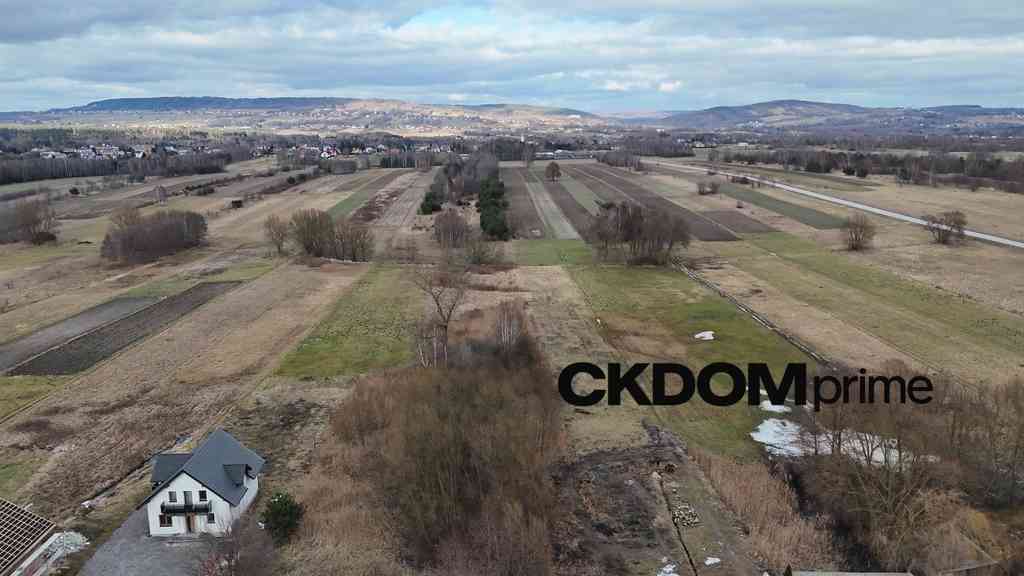 Radlin 4,1 ha działka inwestycyjna z domem - zdjęcie 19