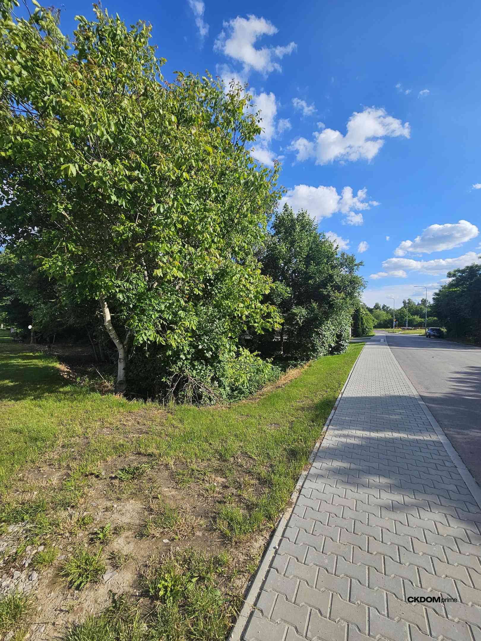  Wyjątkowa działka budowlana Dąbrowa, gm. Masłów - zdjęcie 4