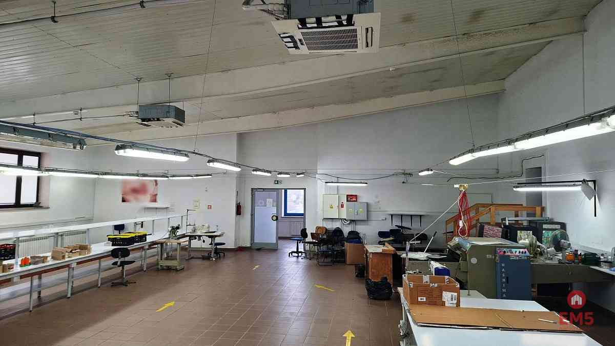 Lokal użytkowy 300 m2 na wynajem - zdjęcie 2