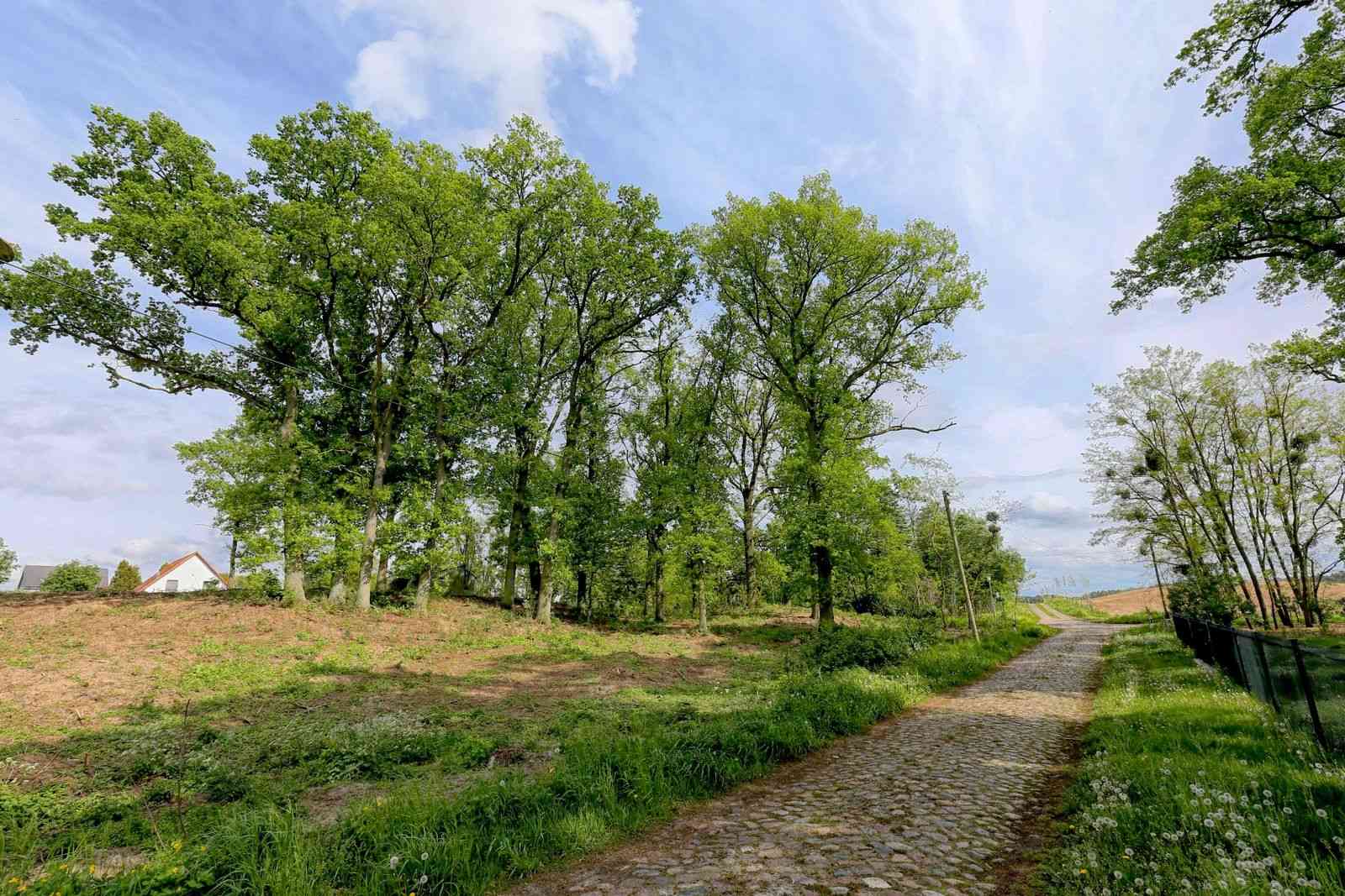 Działka budowlana na sprzedaż, Lubieszyn, 1611 m²