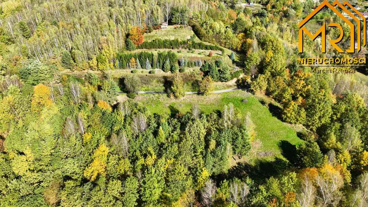 Widokowa działka rolna z panoramą na Dunajec - zdjęcie 4