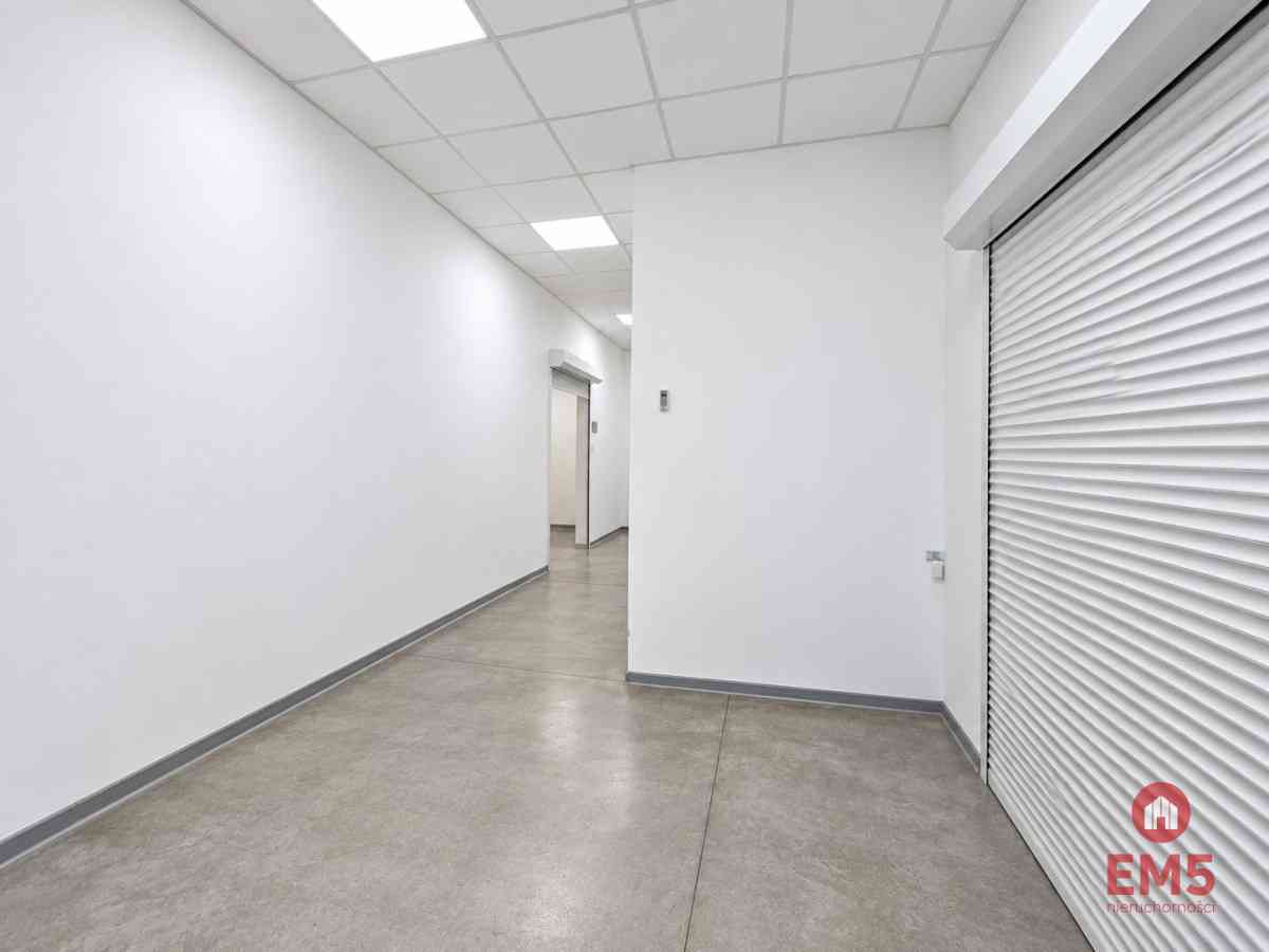 Lokal użytkowy 262 m2 - zdjęcie 5