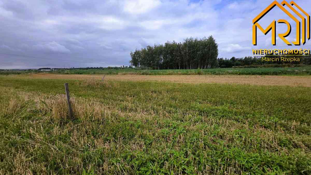 Działka z WZ w okolicy stawów – Łęg Tarnowski, gm. - zdjęcie 10