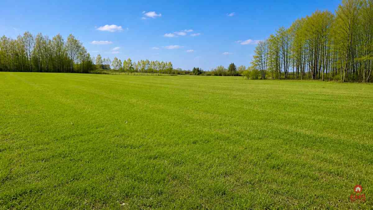 Działka rolno-budowlana 2,5 ha. Nowosiółki - zdjęcie 8