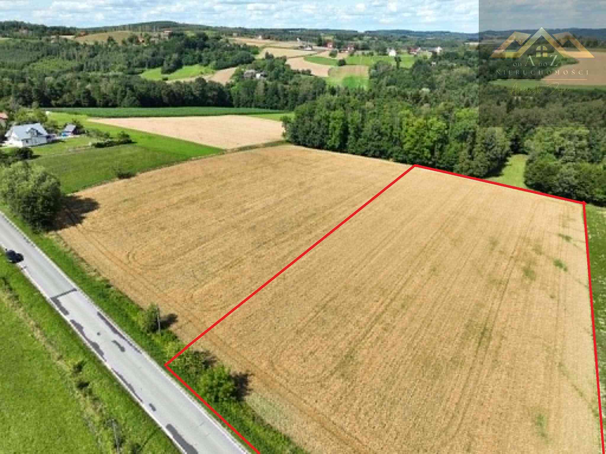 Budowlana 91 ar Lichwin gm. Pleśna, przy lesie - zdjęcie 2