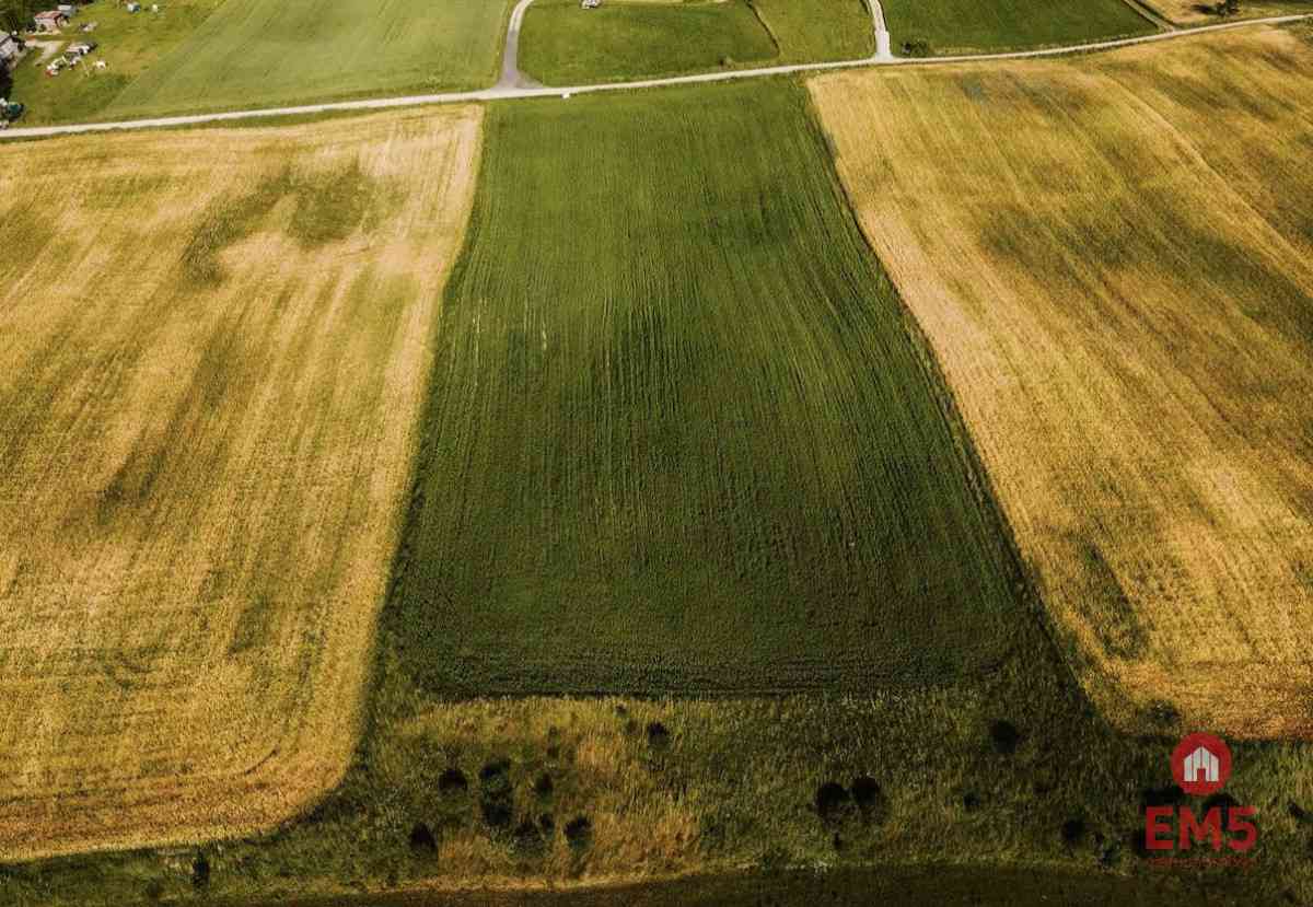 Działka - Żegary, gm. Sejny - zdjęcie 7