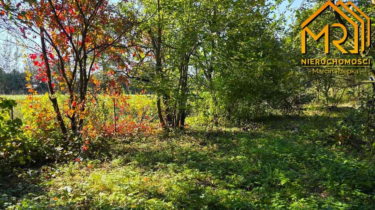 Drewniany dom do remontu – Siedliszowice, gm. Żabn - zdjęcie 32
