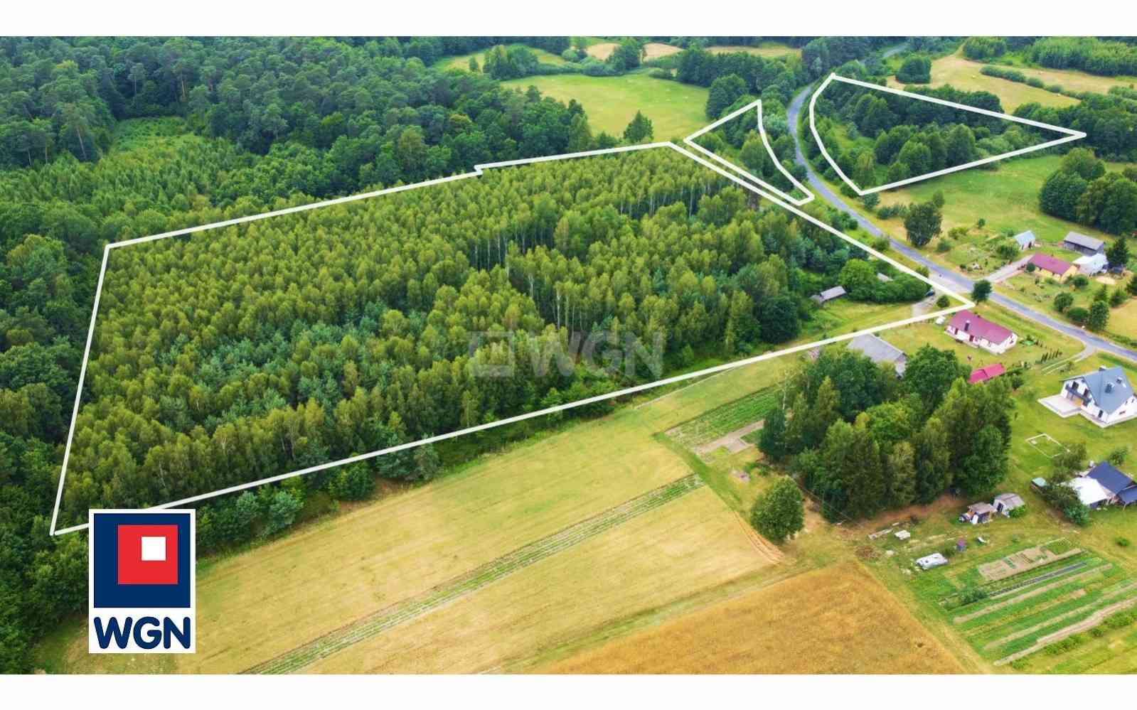 Działka na sprzedaż - Świerszczów, Świerszczów - zdjęcie 3