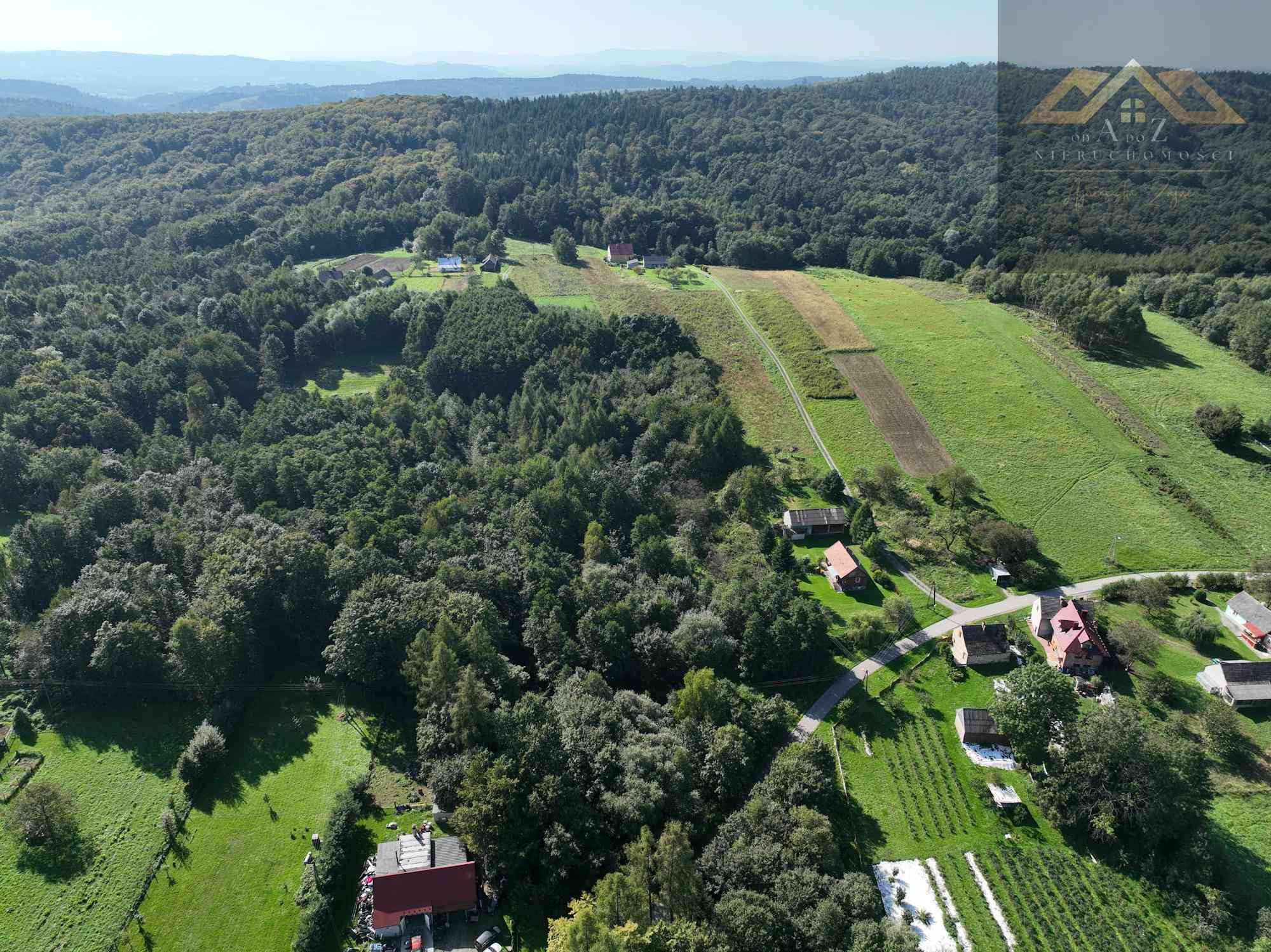 Działka z prywatnym lasem | WZ | 1,34 ha l Okazja! - zdjęcie 3