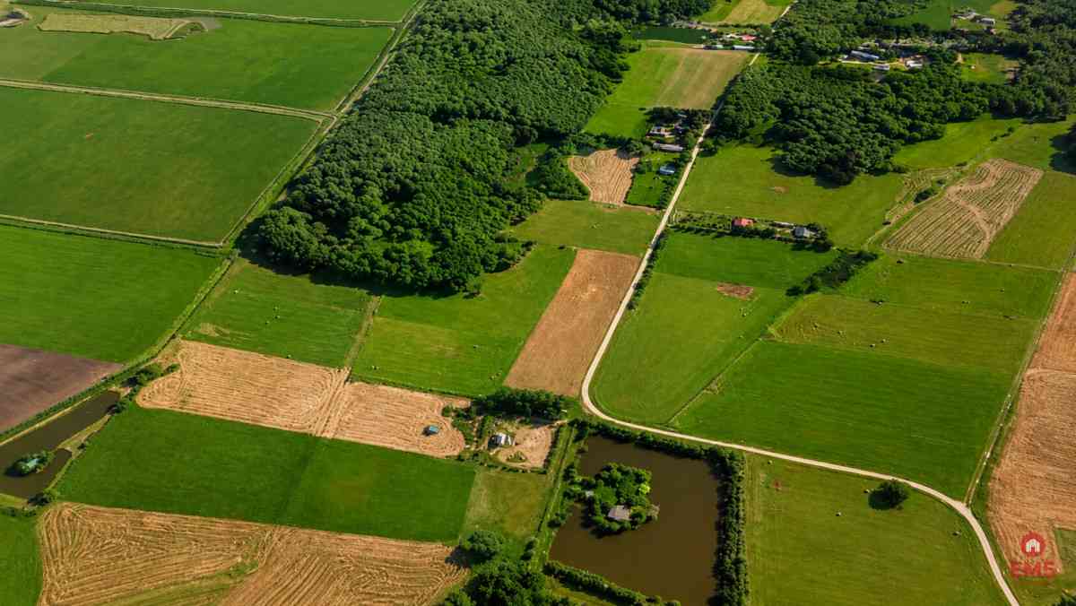 Działka rolno-budowlana 2,5 ha. Nowosiółki - zdjęcie 4