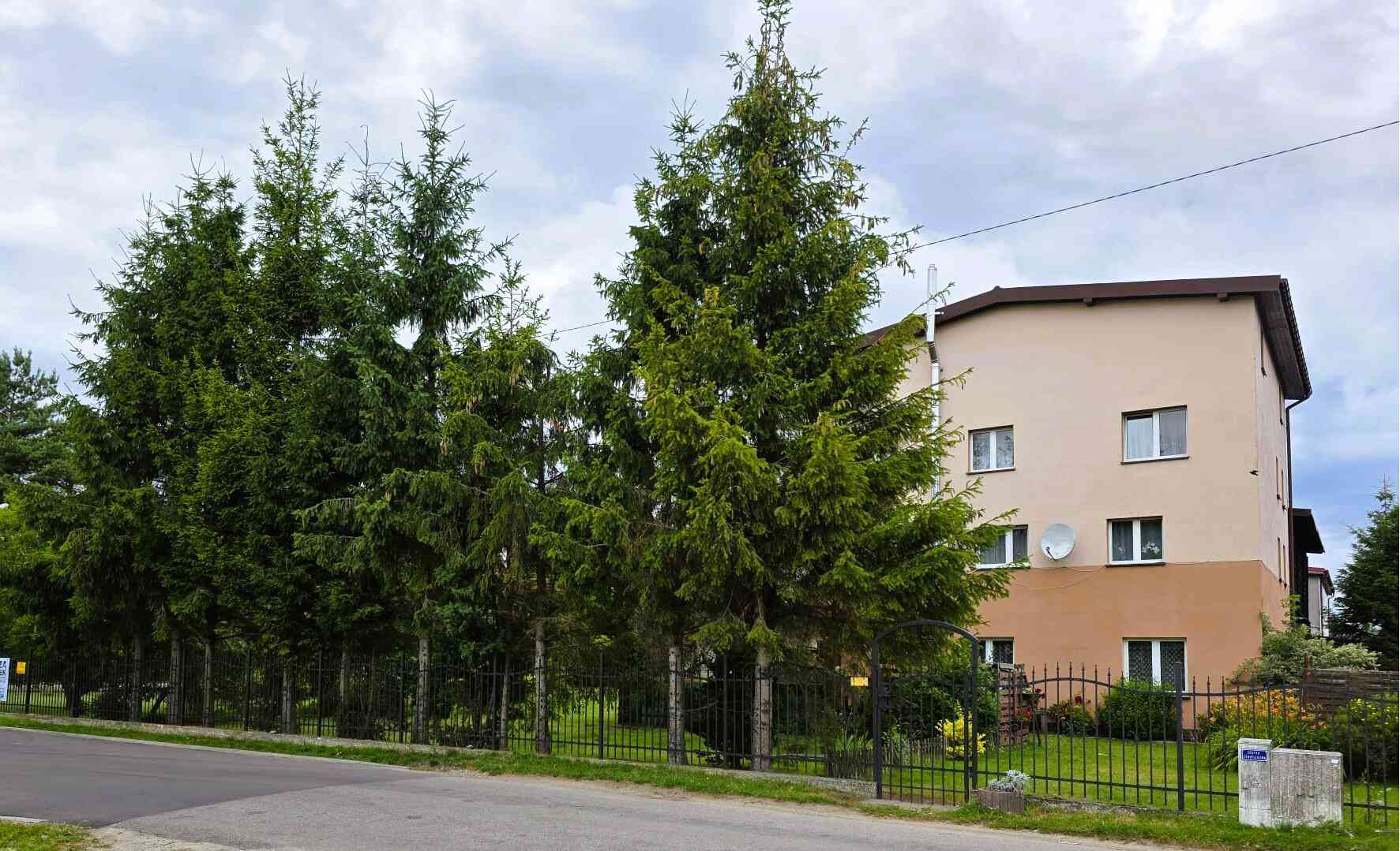 Dom wolnostojący czterokondygnacyjny z potencjałem inwestycyjno - rozwojowym - zdjęcie 10
