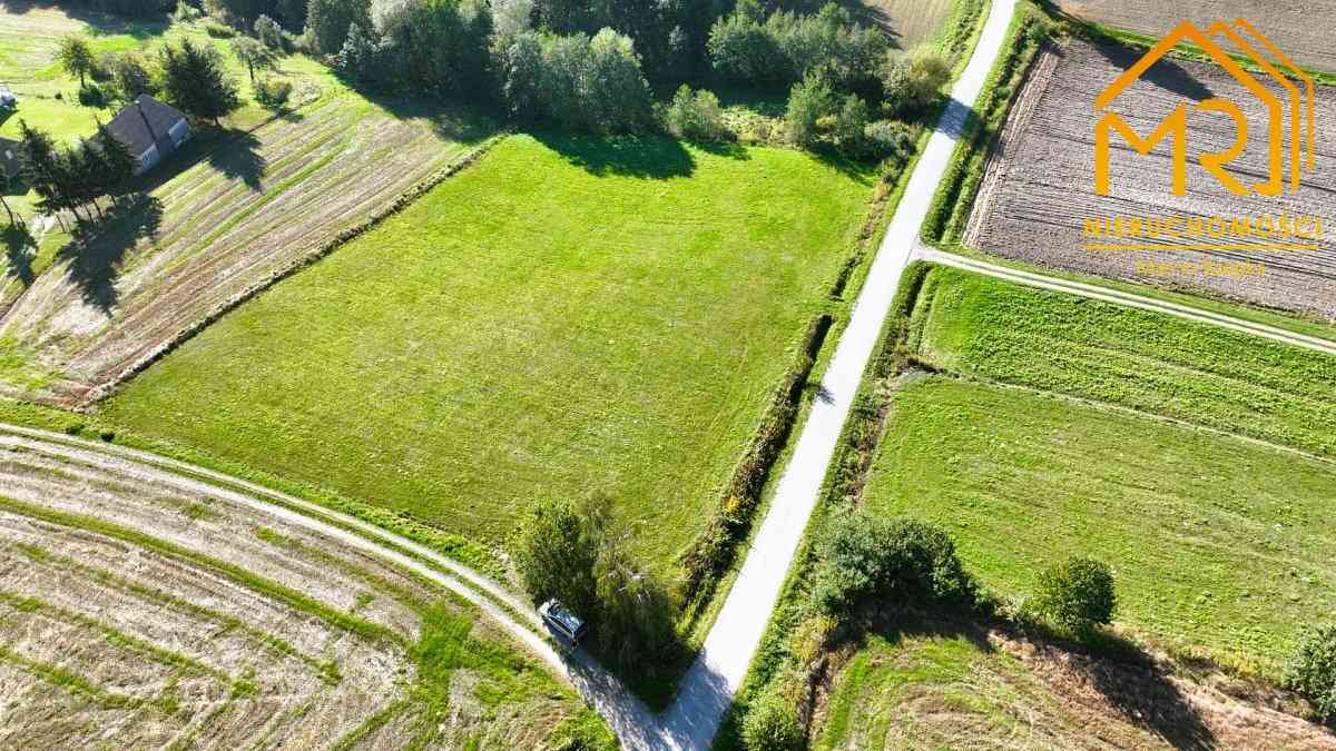 Działki 12–14 ar w spokojnej okolicy – Zwiernik, 1 - zdjęcie 2