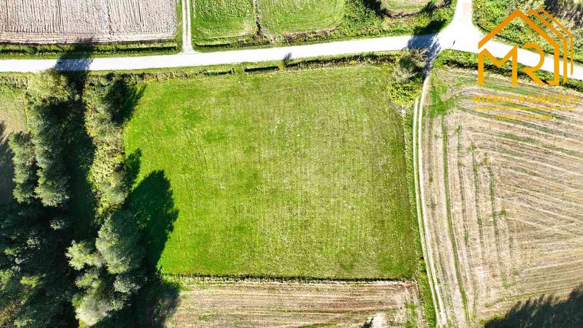 Działki 12–14 ar w spokojnej okolicy – Zwiernik, 1 - zdjęcie 5