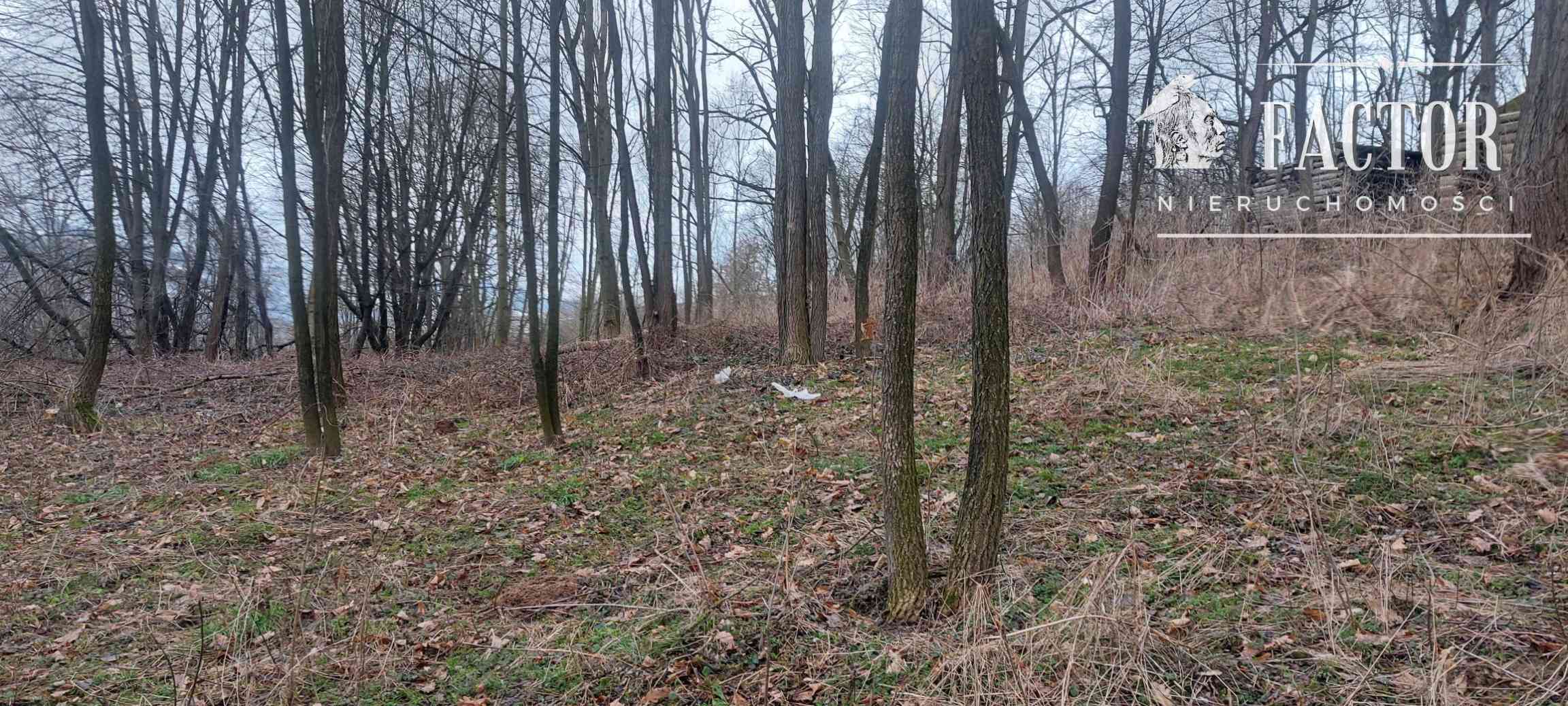 Działka rolno-budowlana 80 arów z budynkiem gospodarczym w Sędziszowej - zdjęcie 5