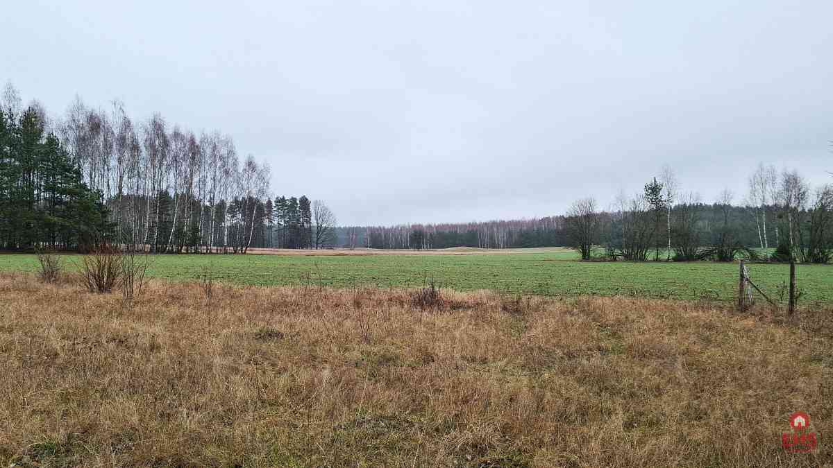 Działka 1743 m2, Pieńki - zdjęcie 9