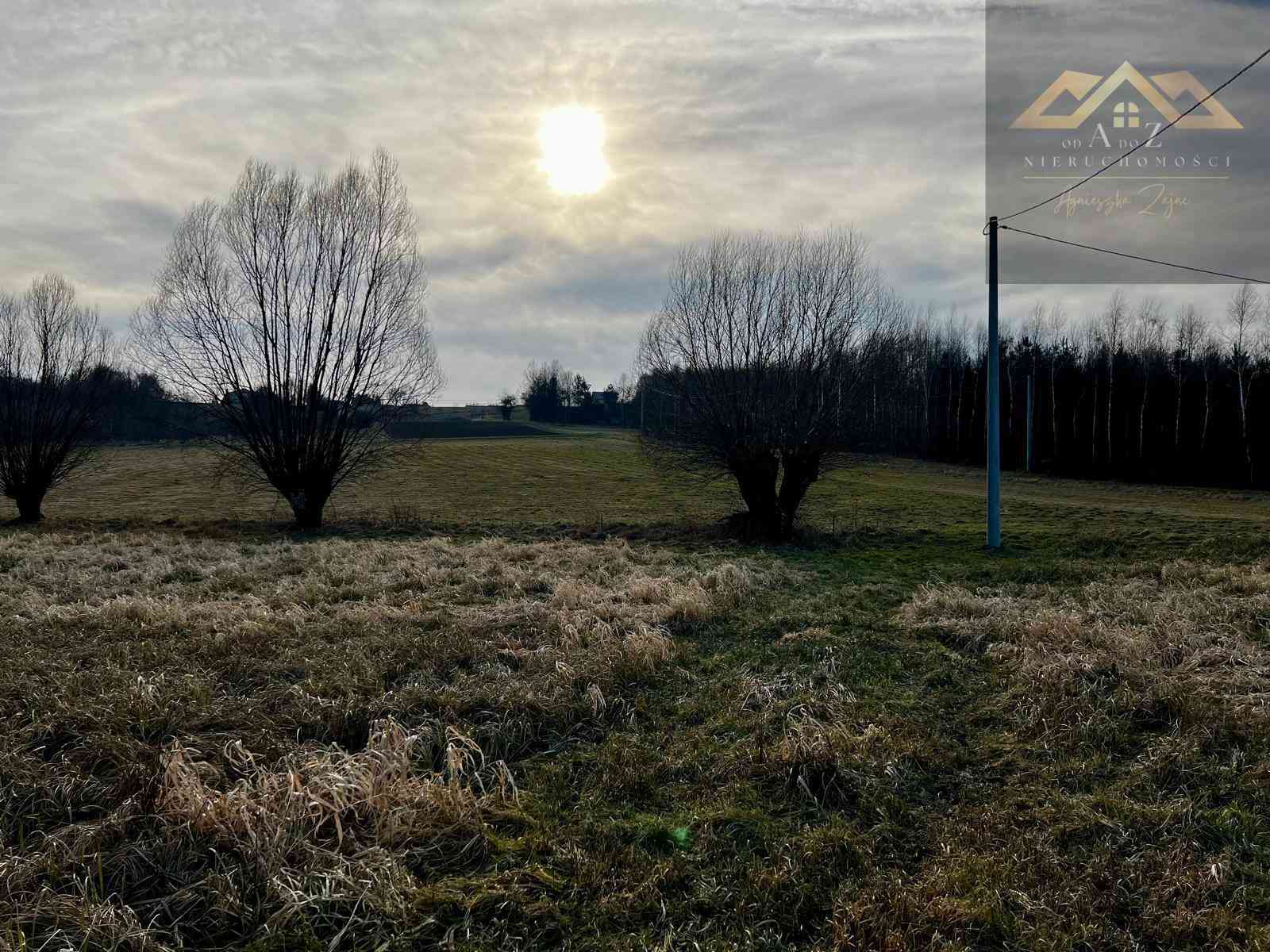 Grunty 3 ha pod agroturystykę, stawy, stadninę koni, zabudowę - zdjęcie 11