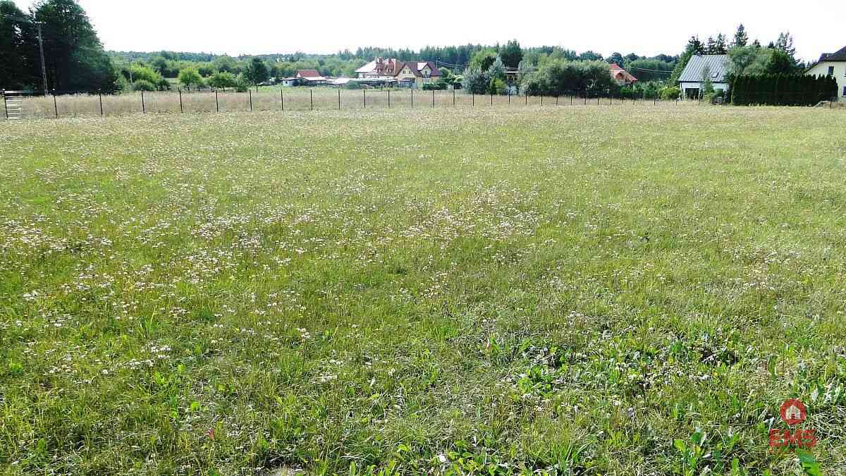 Działka rolno-budowlana 4000 m2, Letniki - zdjęcie 9