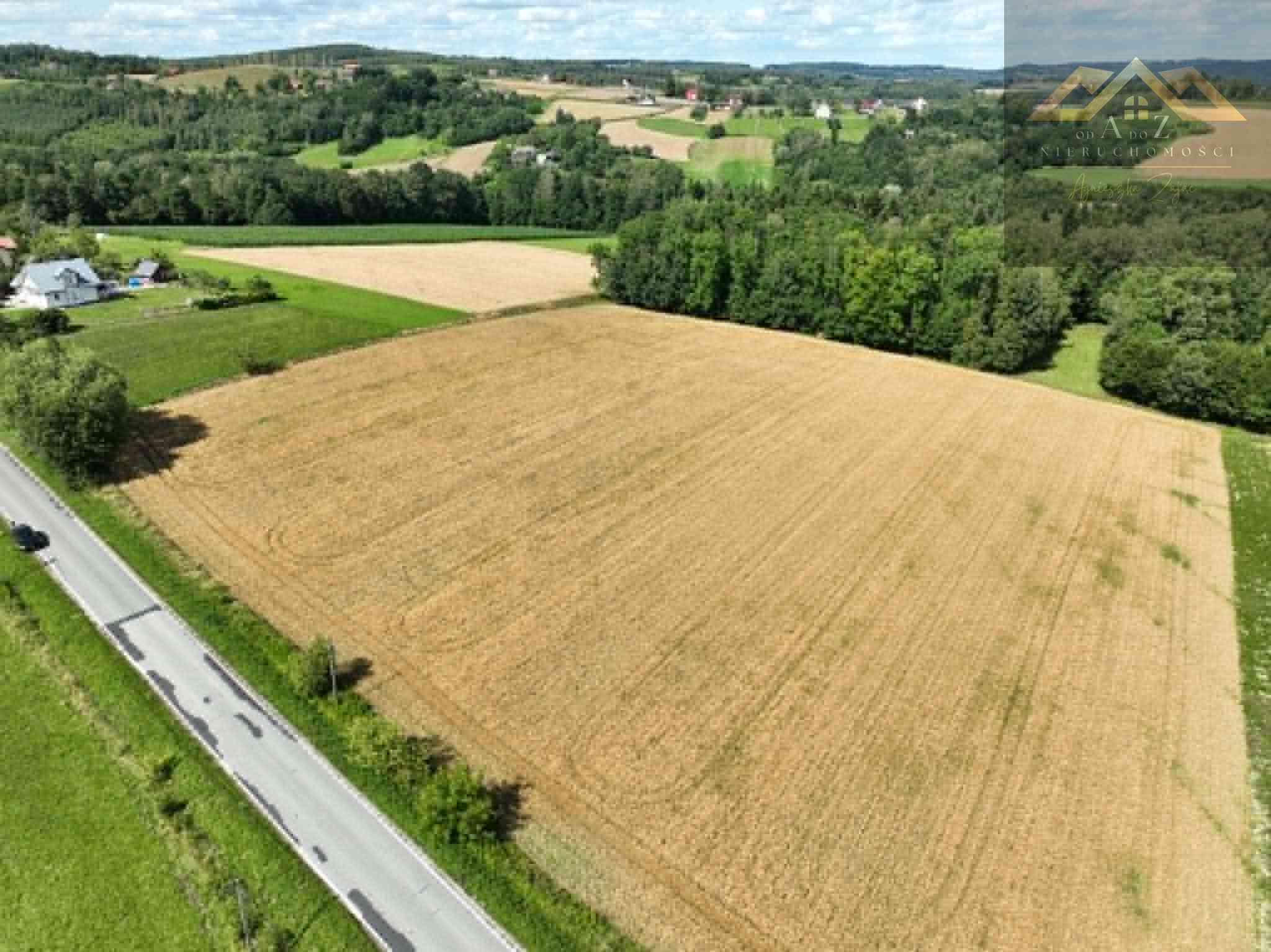 Budowlana 91 ar Lichwin gm. Pleśna, przy lesie - zdjęcie 10