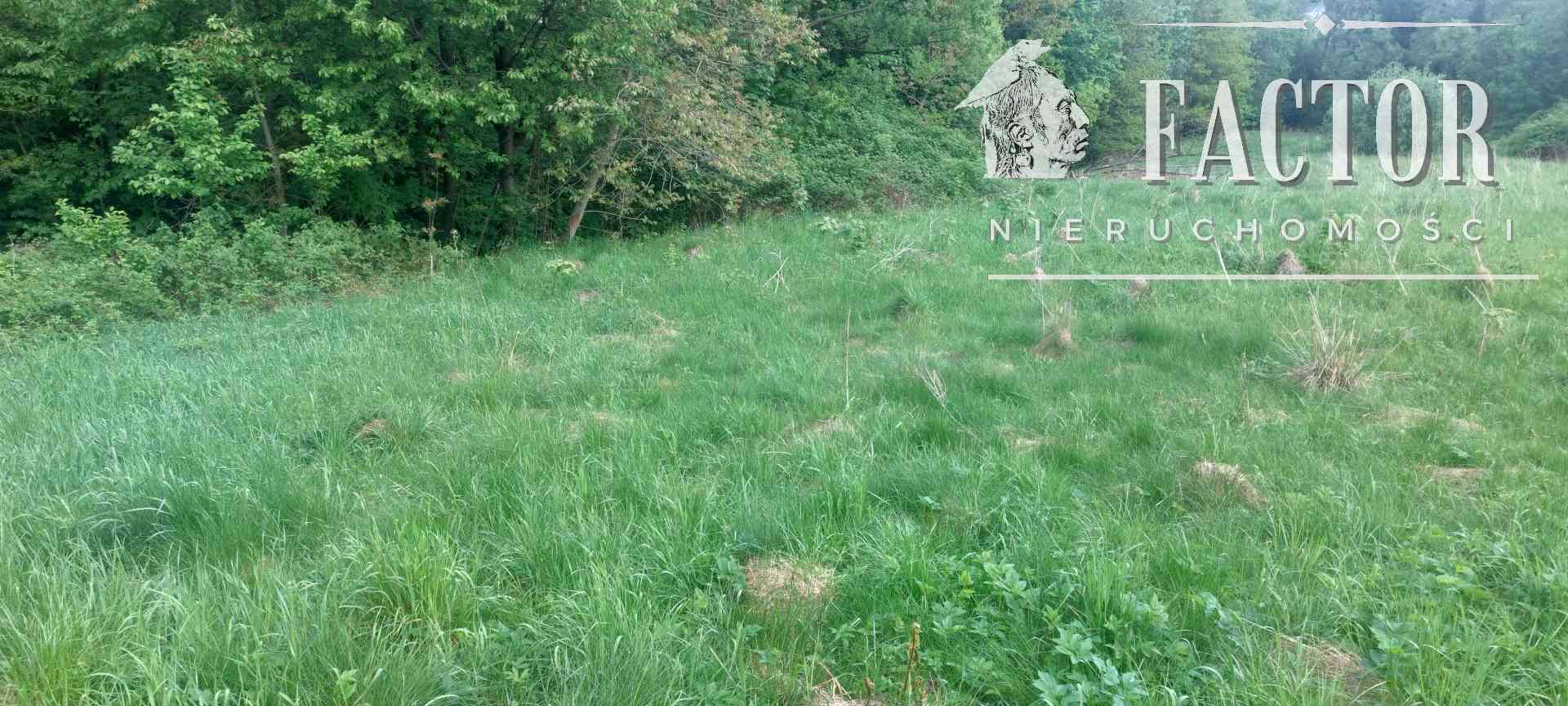 Siary działka rolna 30 a 1149S - zdjęcie 2