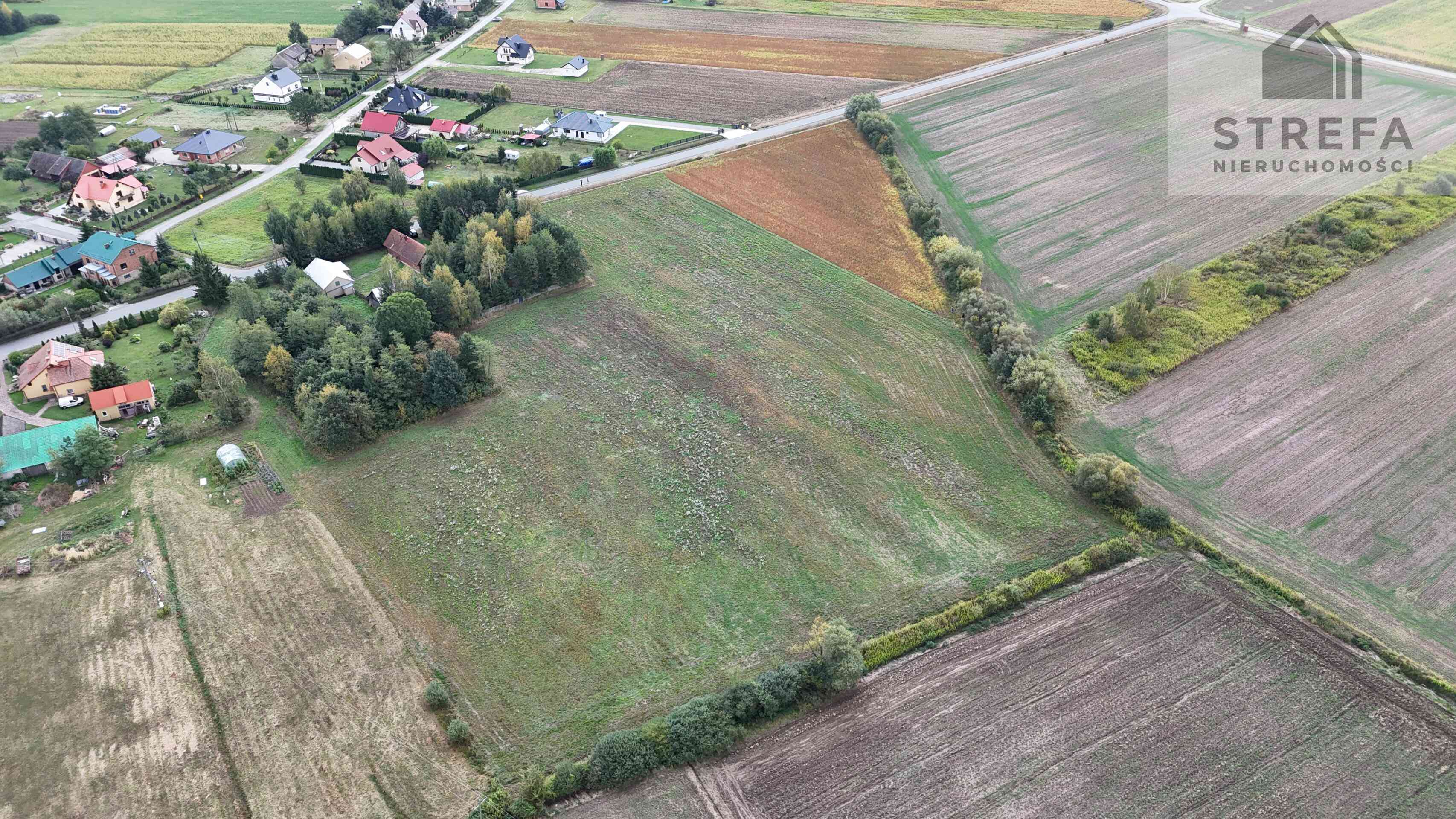 🏡 Działka budowlana 16,13 a | Cicha okolica | Szybki dojazd do miast! Wielopole - zdjęcie 3