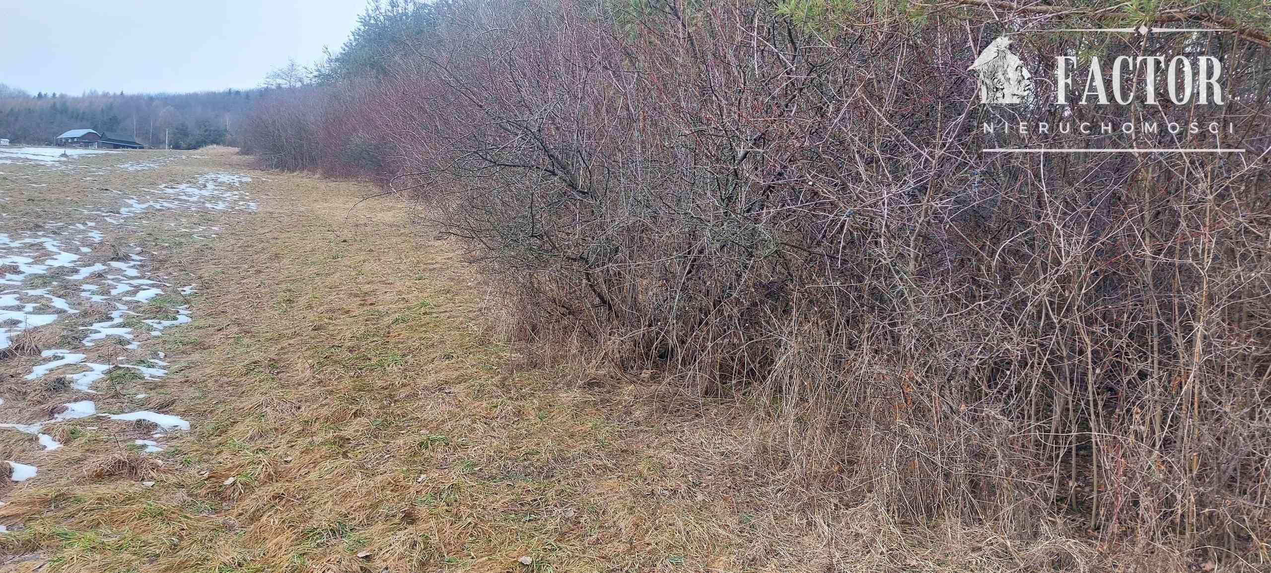 Siary działka budowlano-rolna 0,53 ha 1169S - zdjęcie 4