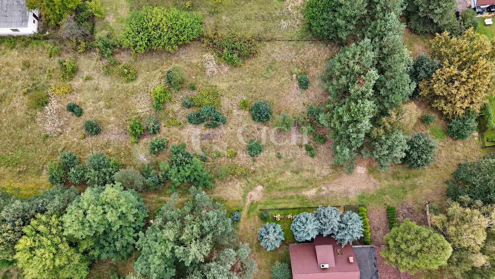 Nowe Żukowice — 17,29 ar w otoczeniu zieleni i pięknej alei sosen - zdjęcie 14