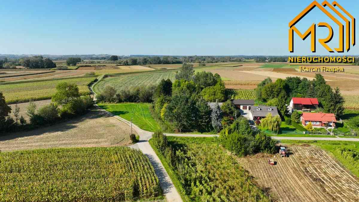 Drewniany dom do remontu – Siedliszowice, gm. Żabn - zdjęcie 37
