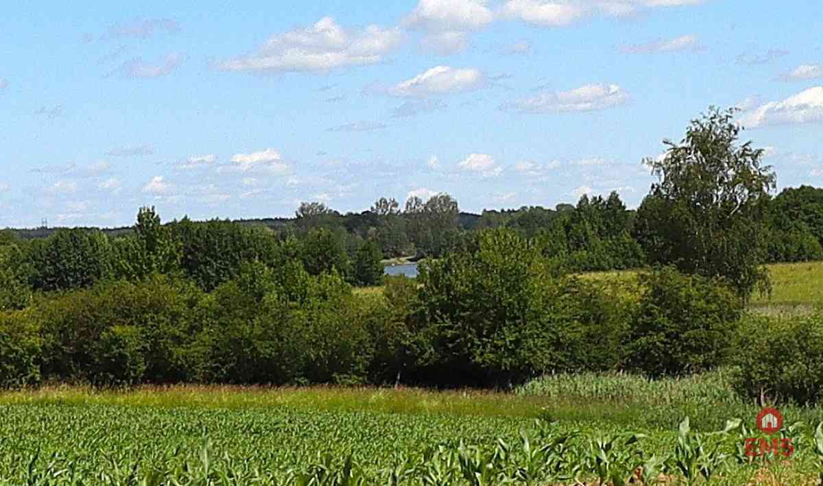 Działka budowlana na Mazurach Rożyńsk Wielki - zdjęcie 8