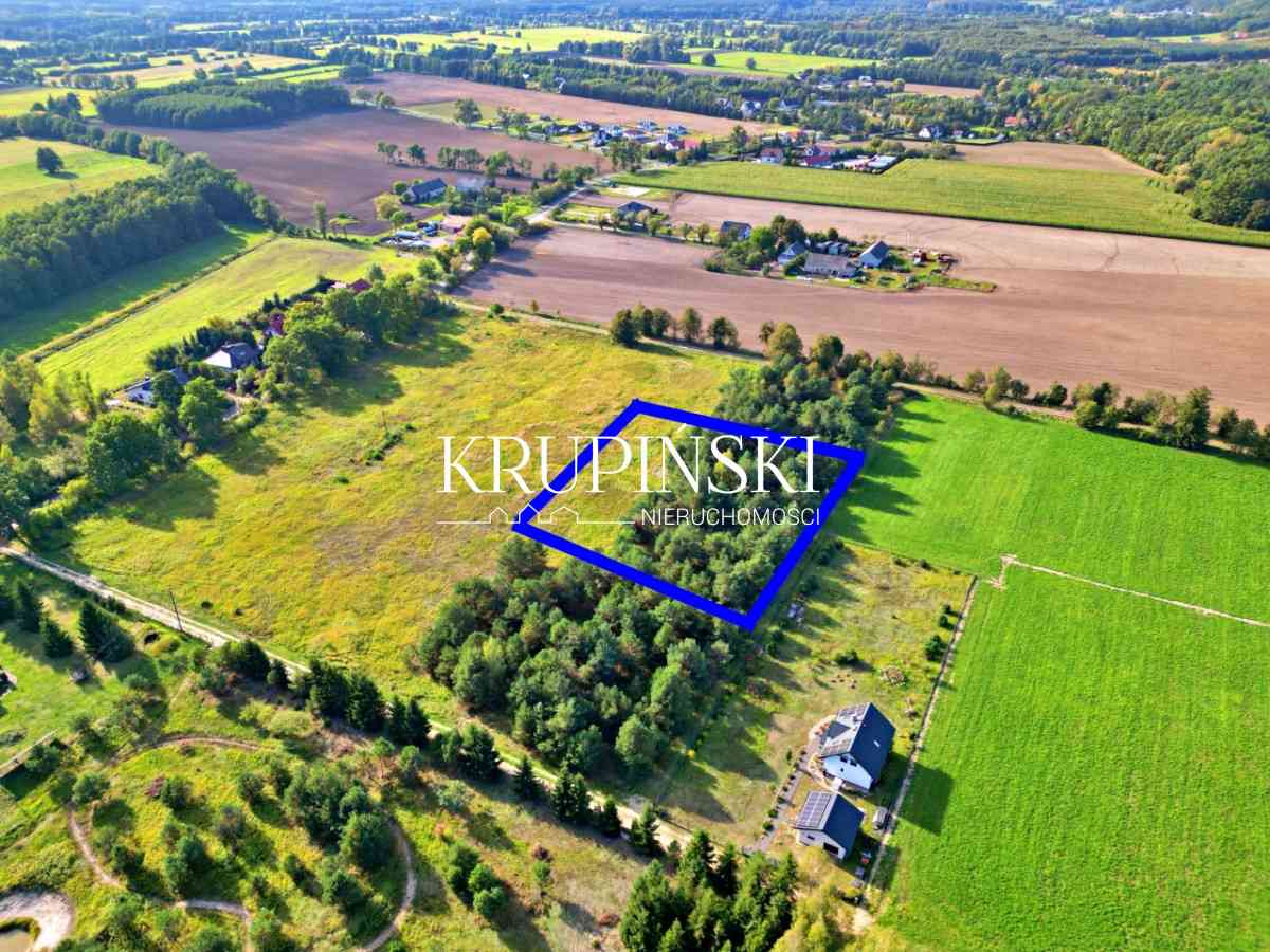 Piękna działka w Zamku Bierzgłowskim! - zdjęcie 9