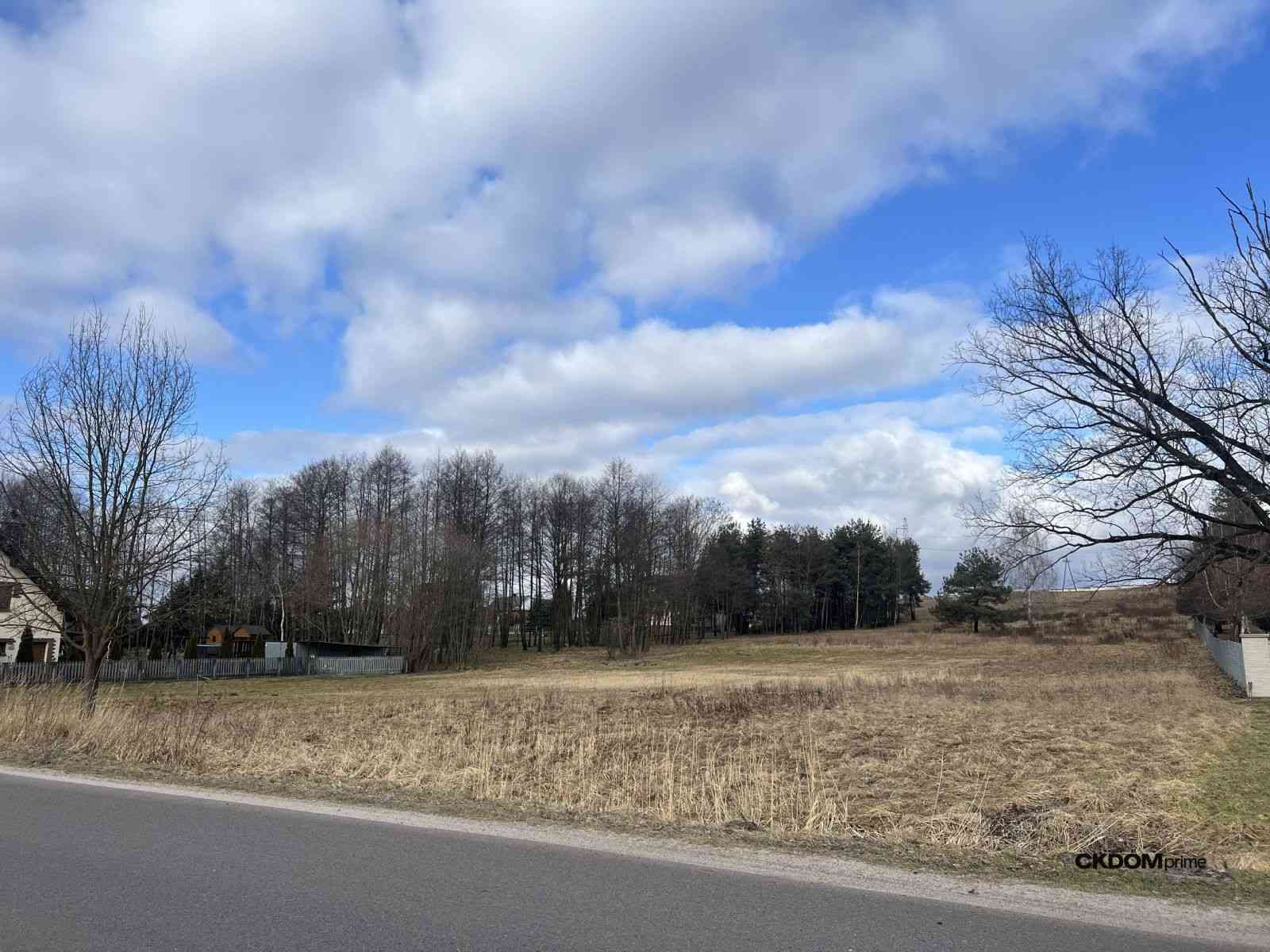 Wyjątkowa działka na sprzedaż – 1 ha w Rytwianach - zdjęcie 2