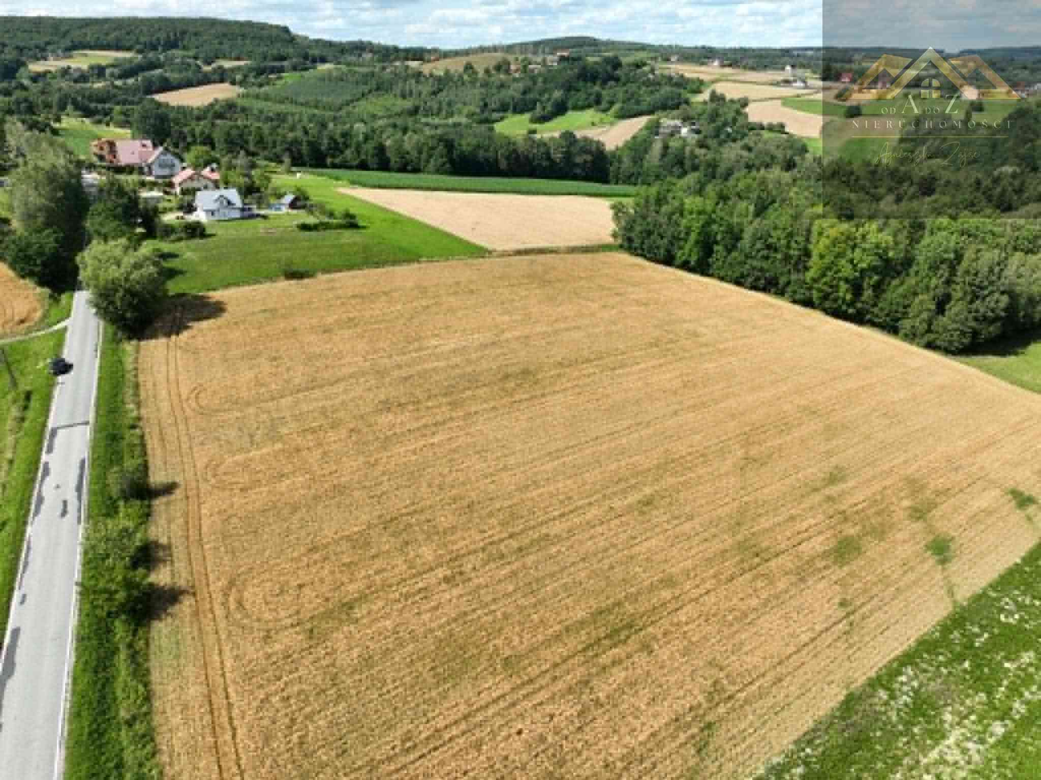 Budowlana 91 ar Lichwin gm. Pleśna, przy lesie - zdjęcie 7