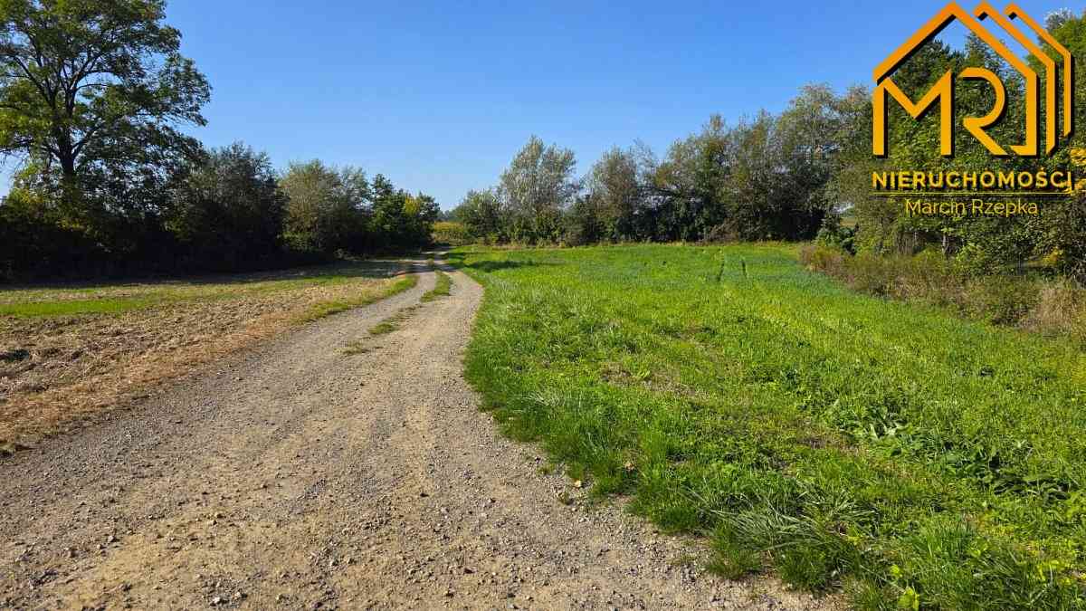 Drewniany dom do remontu – Siedliszowice, gm. Żabn - zdjęcie 31