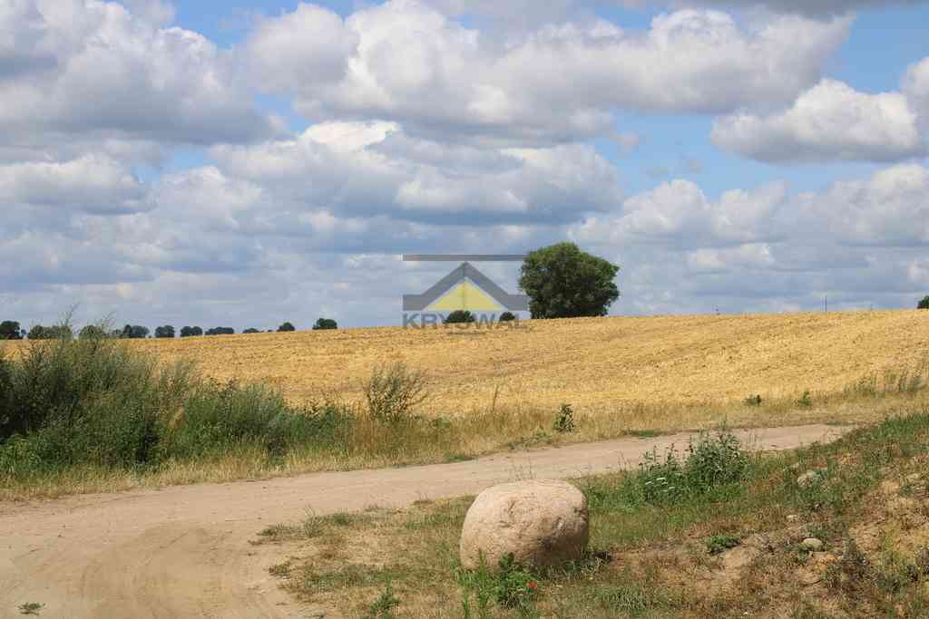Działka 35 arów, wydane WZ, Racław - zdjęcie 10