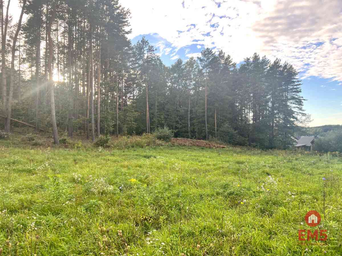 Działka z warunkami zabudowy pod lasem. - zdjęcie 3