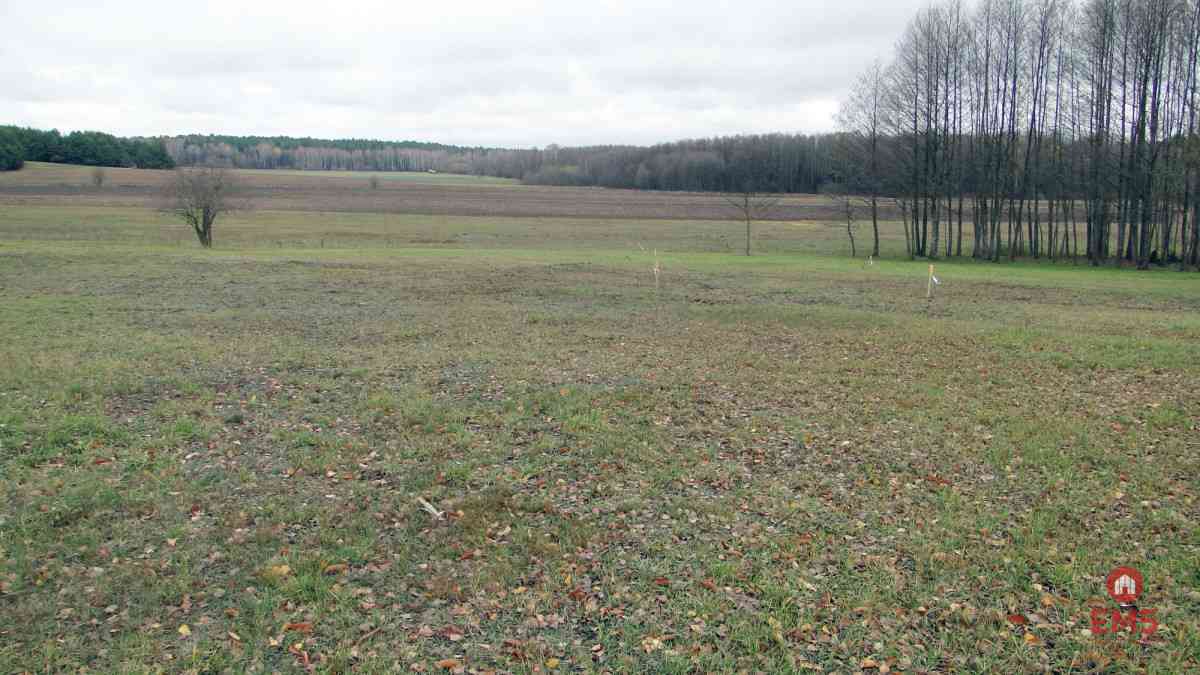 Działka budowlana 1000 m2 - zdjęcie 9