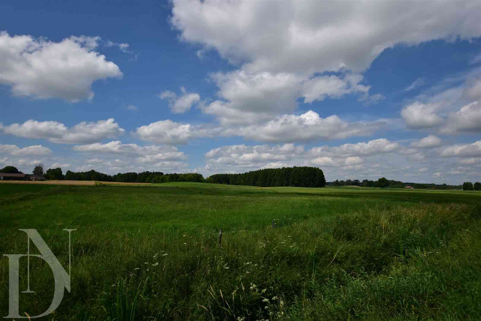 Działki 11095 m² koło Jeziora Dręstwo NOWA CENA!!! - zdjęcie 8