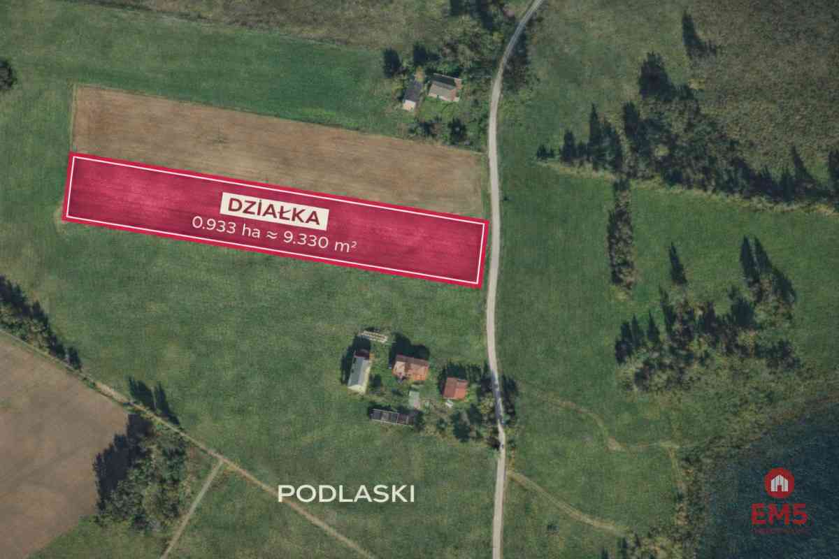 Działka rolno-budowlana; Podlaski, Gmina Sejny - zdjęcie 4