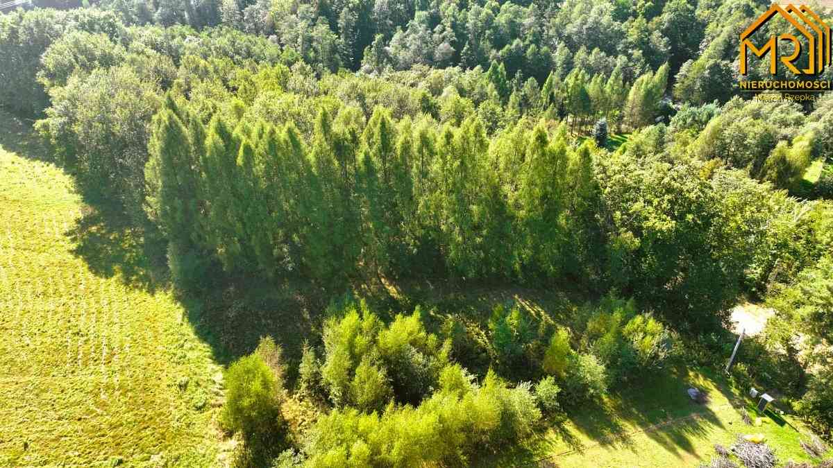Działka budowlano-rolna w gminie Tuchów - zdjęcie 7