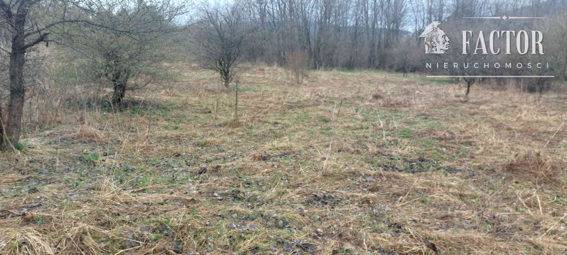 Kunkowa działka budowlana 8,12 a 1145S