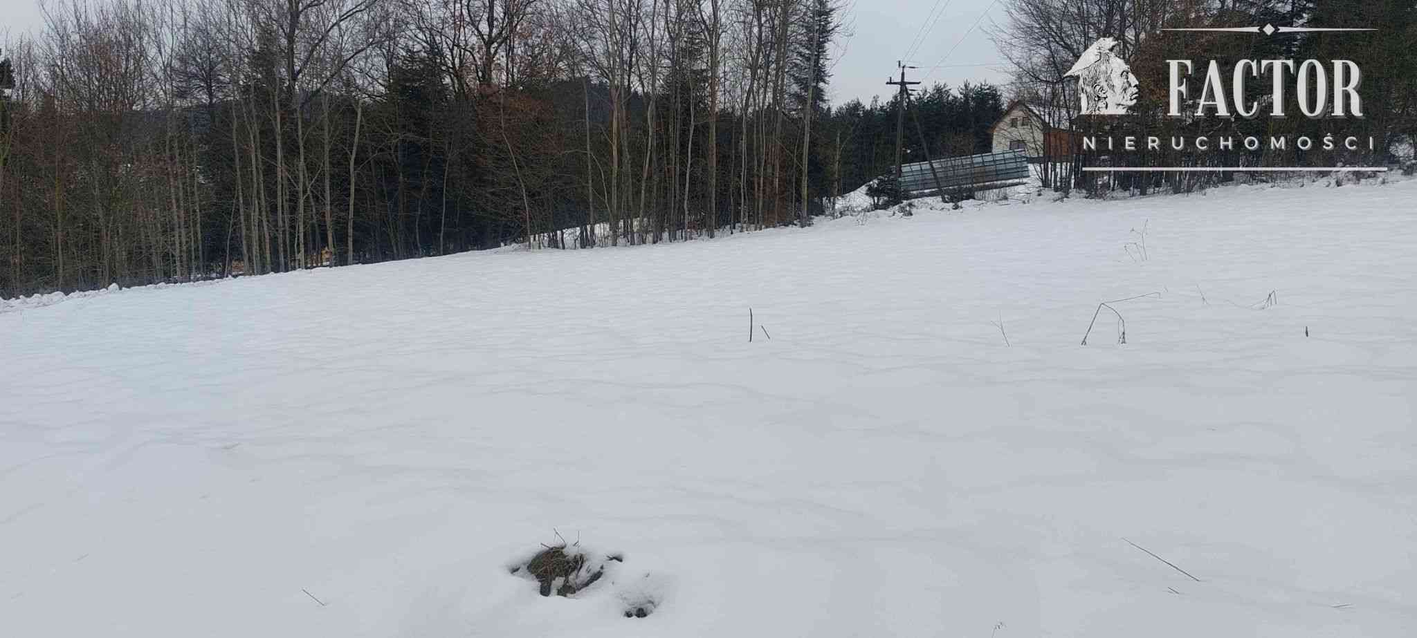 Działka na sprzedaż, Biała Niżna - zdjęcie 3