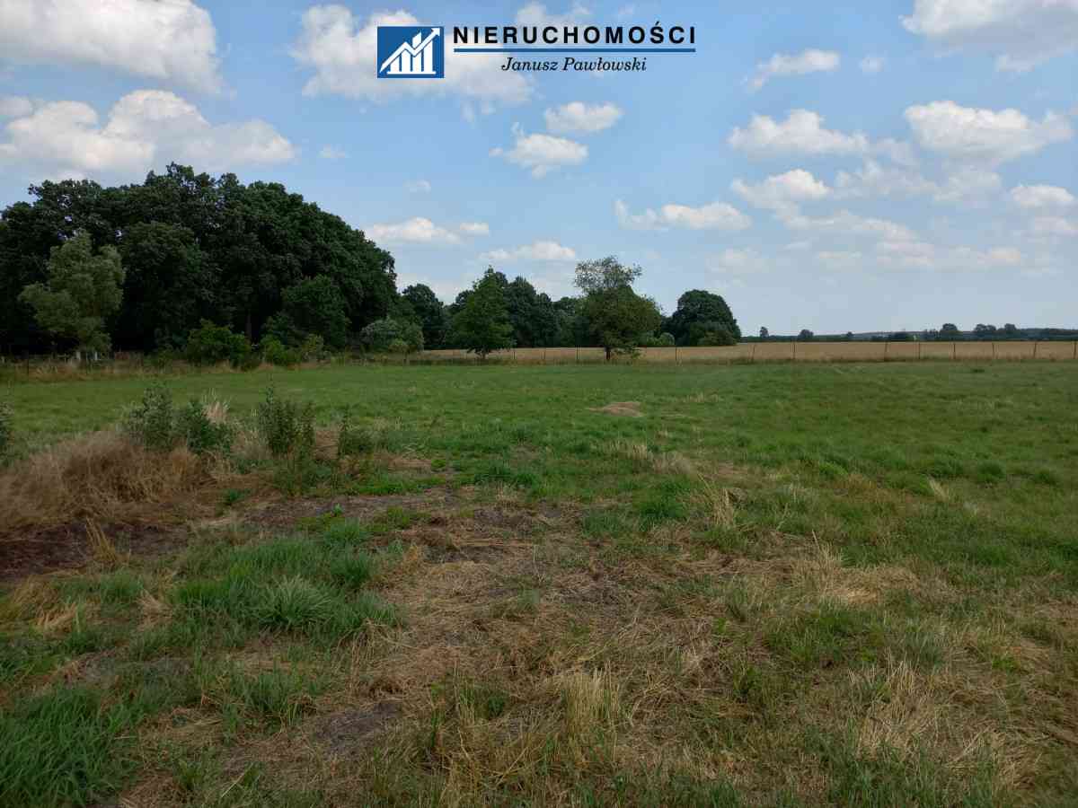 Dom wolnostojący 250m2 | Działka 34ar | Budynki - zdjęcie 26