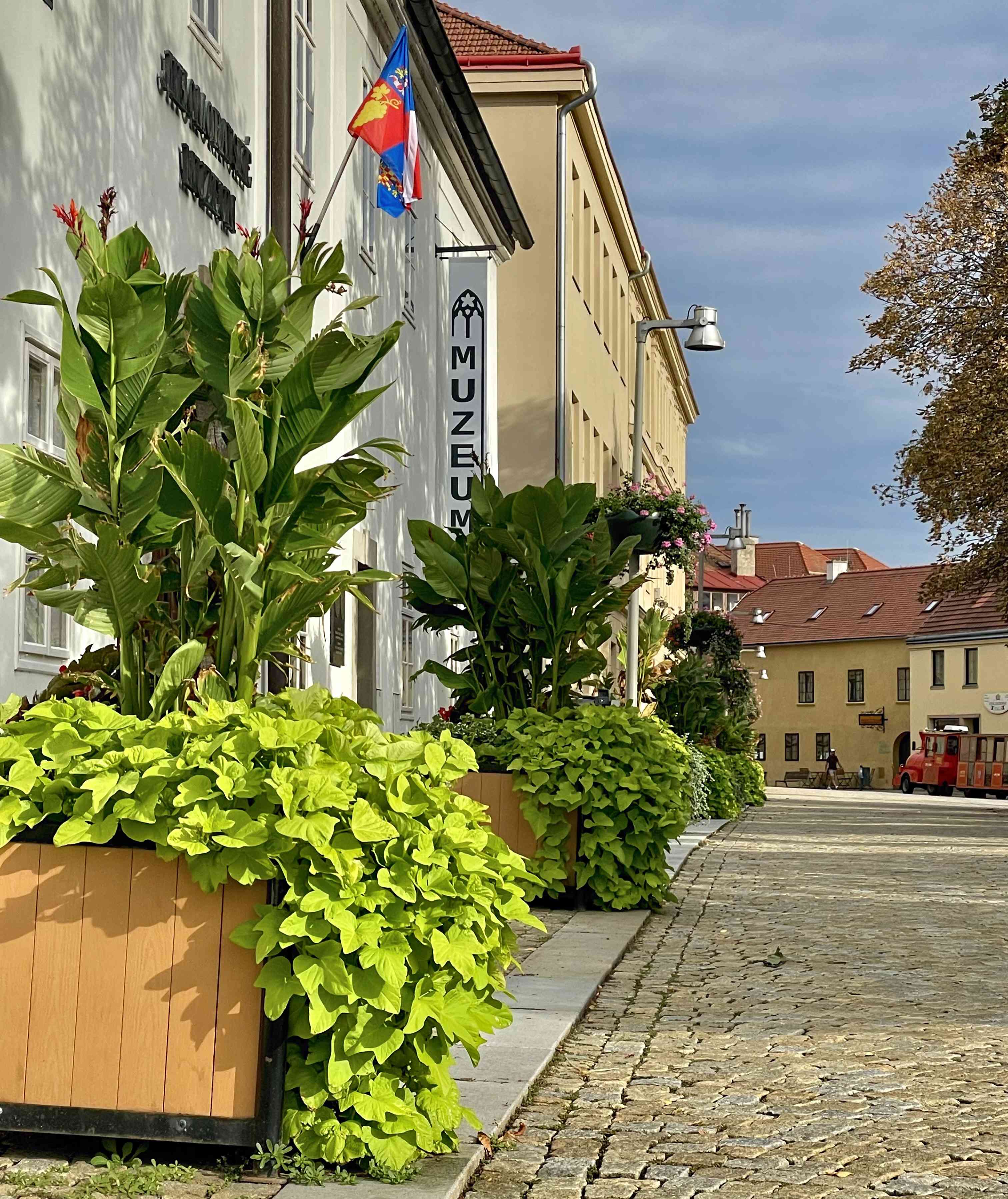 Znojmo Heritage - apartmány a gotický wine bar - zdjęcie 10