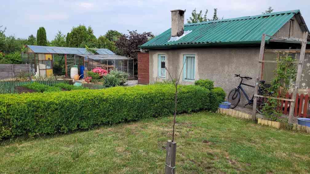 Działka ROD 390m2 z murowanym domem i szklarniami - zdjęcie 8